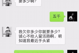 安吉遇到恶意拖欠？专业追讨公司帮您解决烦恼